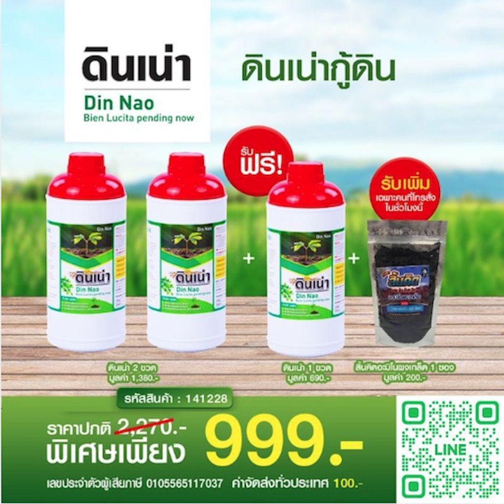 ดินเน่า